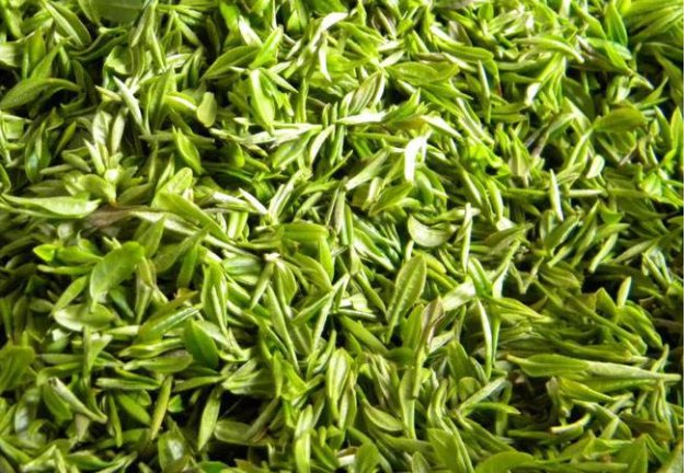 信阳毛尖的市场价