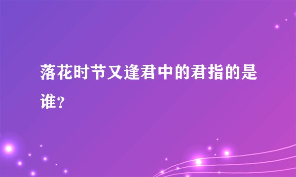 落花时节又逢君中的君指的是谁？