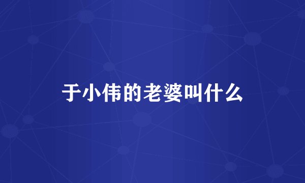 于小伟的老婆叫什么