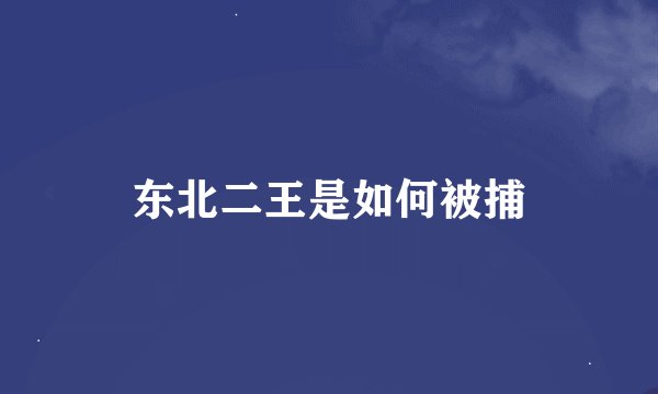 东北二王是如何被捕