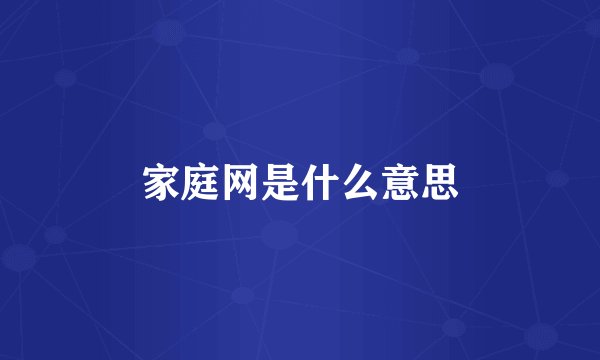 家庭网是什么意思