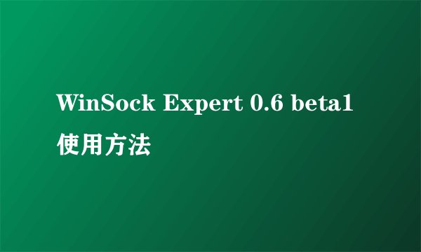 WinSock Expert 0.6 beta1使用方法
