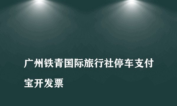 
广州铁青国际旅行社停车支付宝开发票

