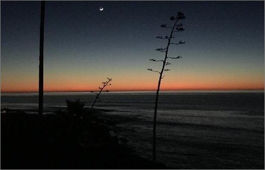 我若不坚强懦弱给谁看的说说