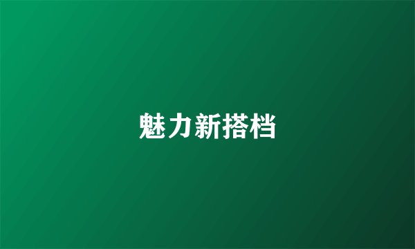 魅力新搭档