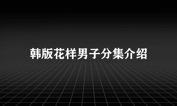 韩版花样男子分集介绍
