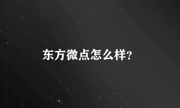 东方微点怎么样？