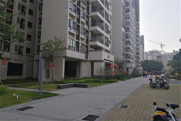 清华教授预言15年后人人有房住，他这么说有何依据？