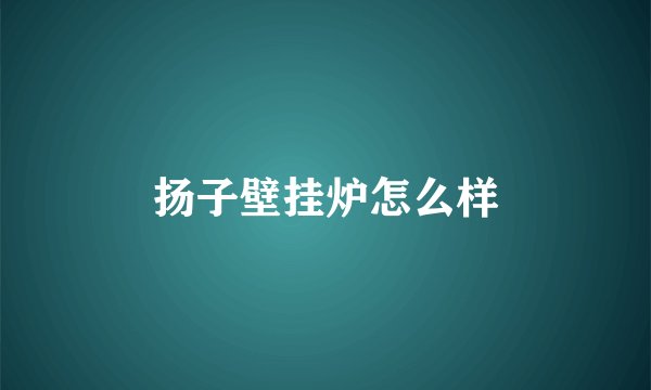 扬子壁挂炉怎么样