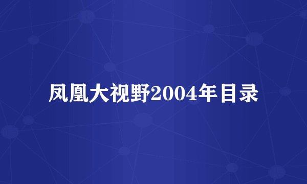 凤凰大视野2004年目录