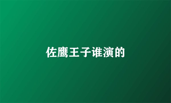 佐鹰王子谁演的