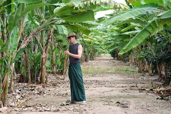 除了黄书豪、Mike四婶，还有哪些泰国明星火了后剃度出家了呢？