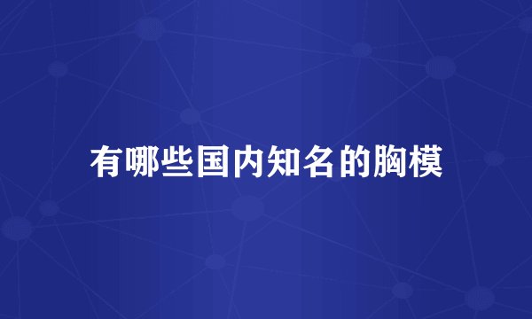 有哪些国内知名的胸模