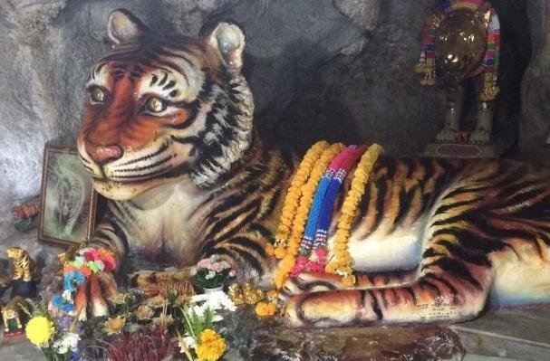 泰国有一空中寺院，专门供奉老虎，这是咋回事？