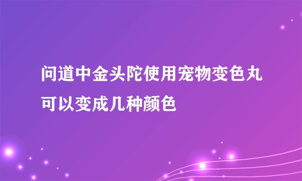 问道中金头陀使用宠物变色丸可以变成几种颜色