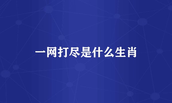 一网打尽是什么生肖