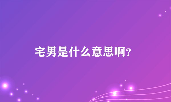 宅男是什么意思啊？