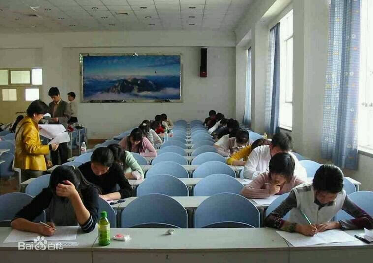 计算机网络应用主要学什么