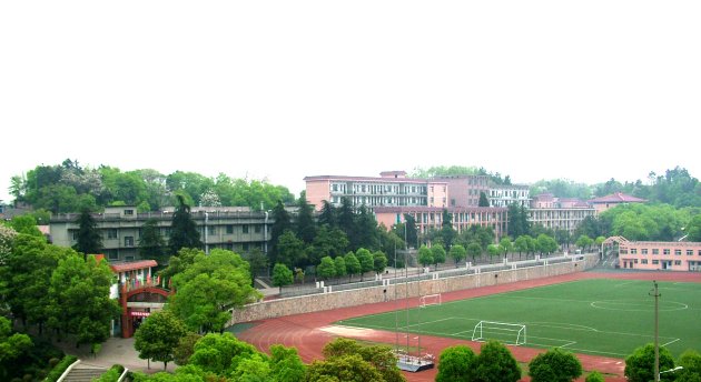 娄底市四中，跟娄底市五中来比较的话，在哪所中学上初中会比较好一点呢，急盼回信