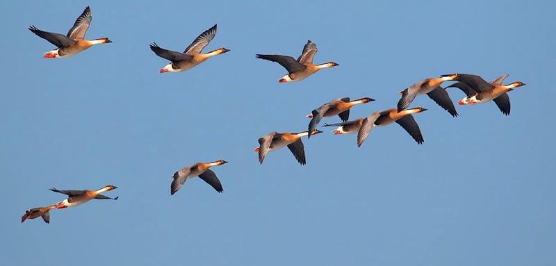 什么一会儿什么一会儿写句子有哪些?