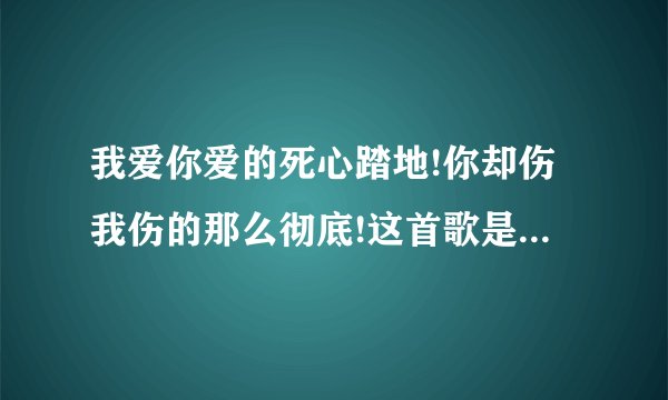 我爱你爱的死心踏地!你却伤我伤的那么彻底!这首歌是什么名字