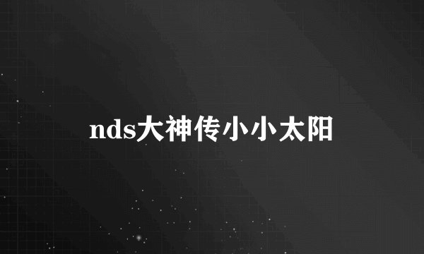 nds大神传小小太阳