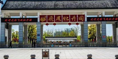 高州十大旅游景点