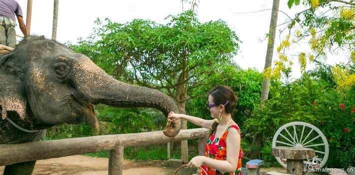 求普吉岛旅游攻略介绍！