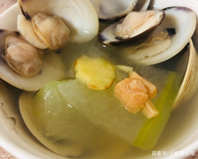 海贝是产量很高肉肥鲜美,海贝都有什么样的好吃的制作方法?