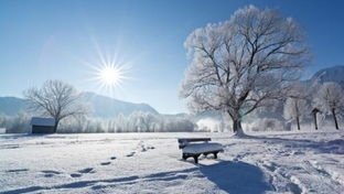 降温预报图冷到发紫，寒潮之下如何温暖跨年？