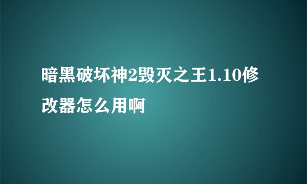 暗黑破坏神2毁灭之王1.10修改器怎么用啊