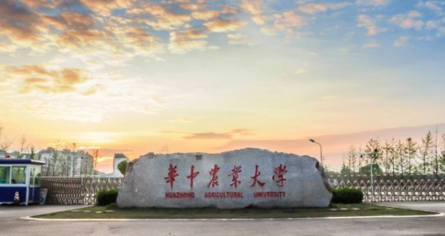 农业大学排名