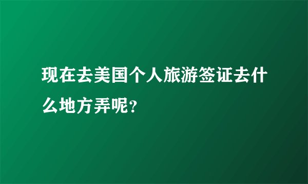 现在去美国个人旅游签证去什么地方弄呢？