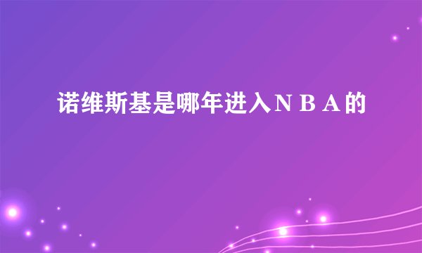 诺维斯基是哪年进入ＮＢＡ的