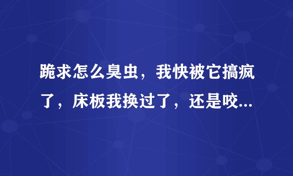 跪求怎么臭虫，我快被它搞疯了，床板我换过了，还是咬，求老天派个英雄救救我啊？