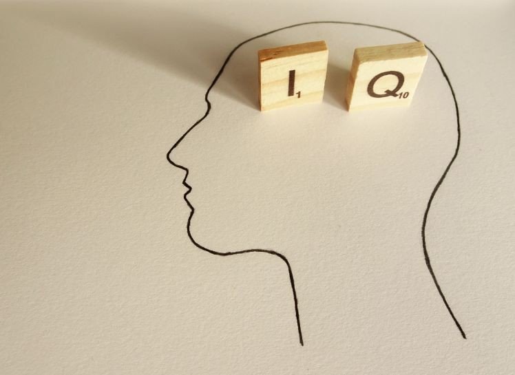 怎么测量一个人的智商高低