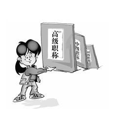 个人简历里面的“职称”是什么意思？