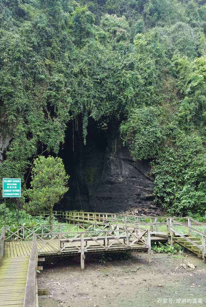 燕窝真的是燕子的口水吗？