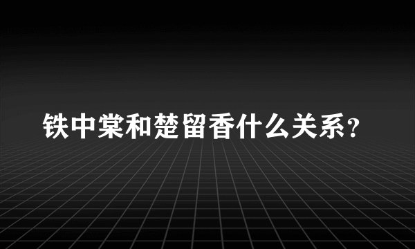 铁中棠和楚留香什么关系？