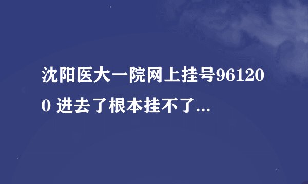 沈阳医大一院网上挂号961200 进去了根本挂不了号啊，也不能注册？
