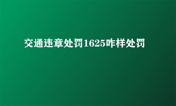 交通违章处罚1625咋样处罚