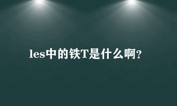 les中的铁T是什么啊？