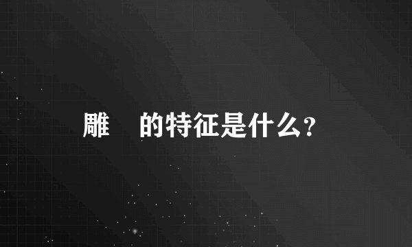 雕鸮的特征是什么？
