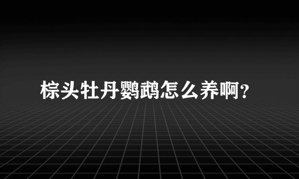 棕头牡丹鹦鹉怎么养啊？