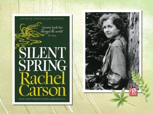 寂静的春天的内容简介