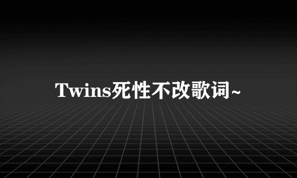 Twins死性不改歌词~