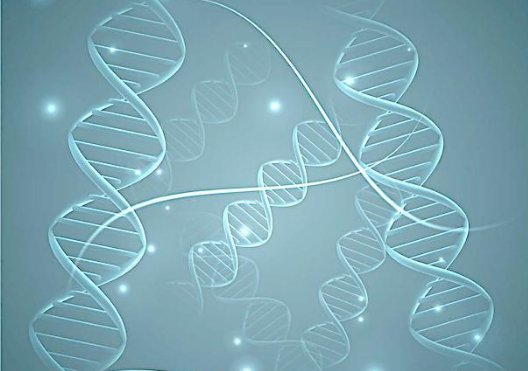 基因锁真的存在吗？