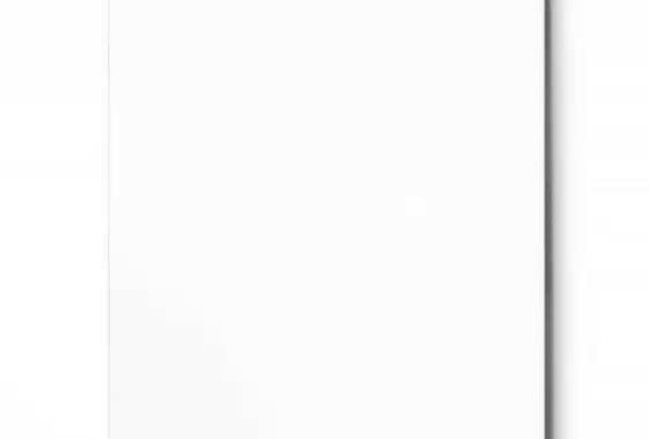 提供发票专用章印模是什么意思？