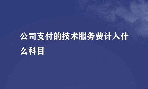 公司支付的技术服务费计入什么科目