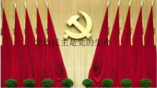 29．（ ）是党的生命，对人民民主具有重要的示范和带动作用。